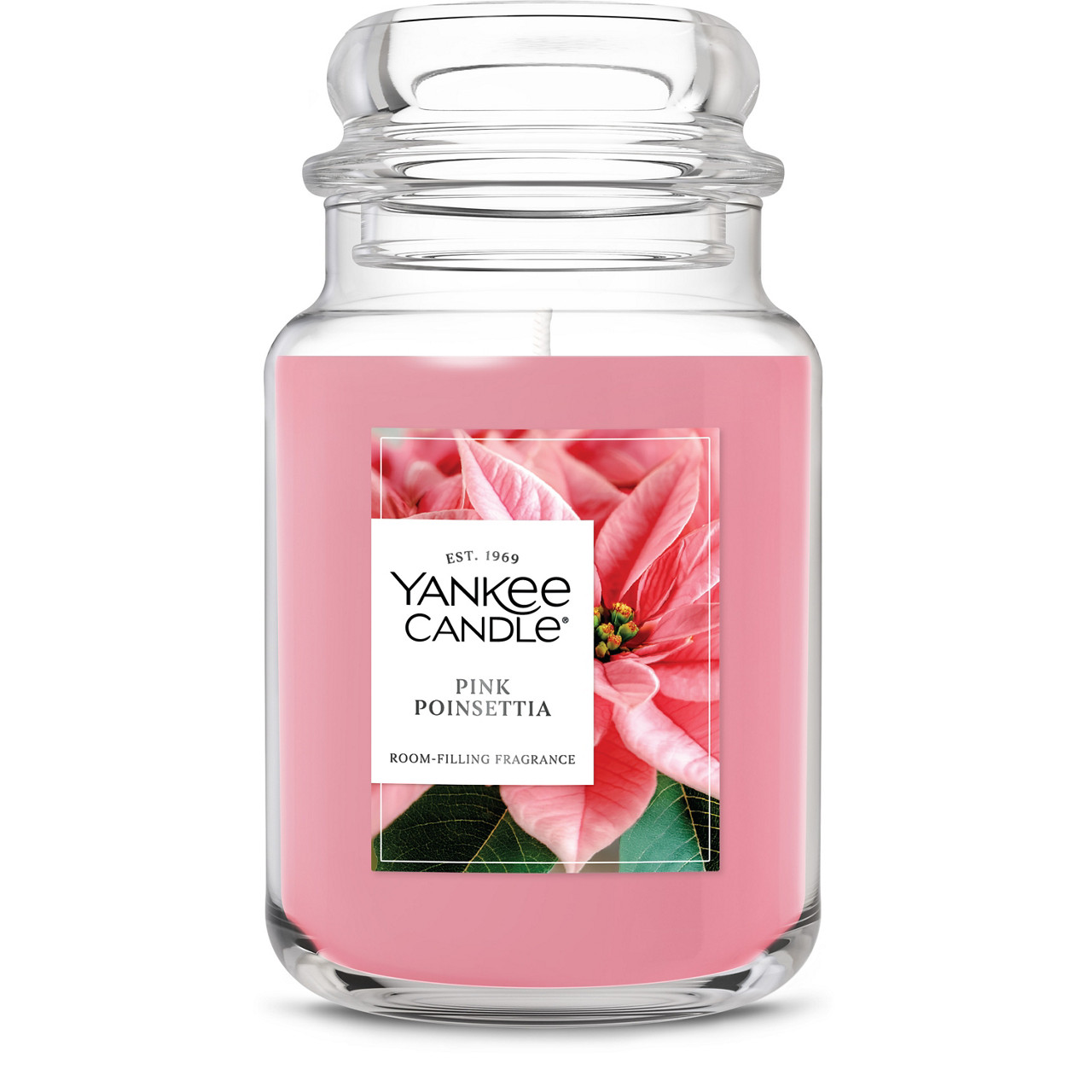 Pink Poinsettia
