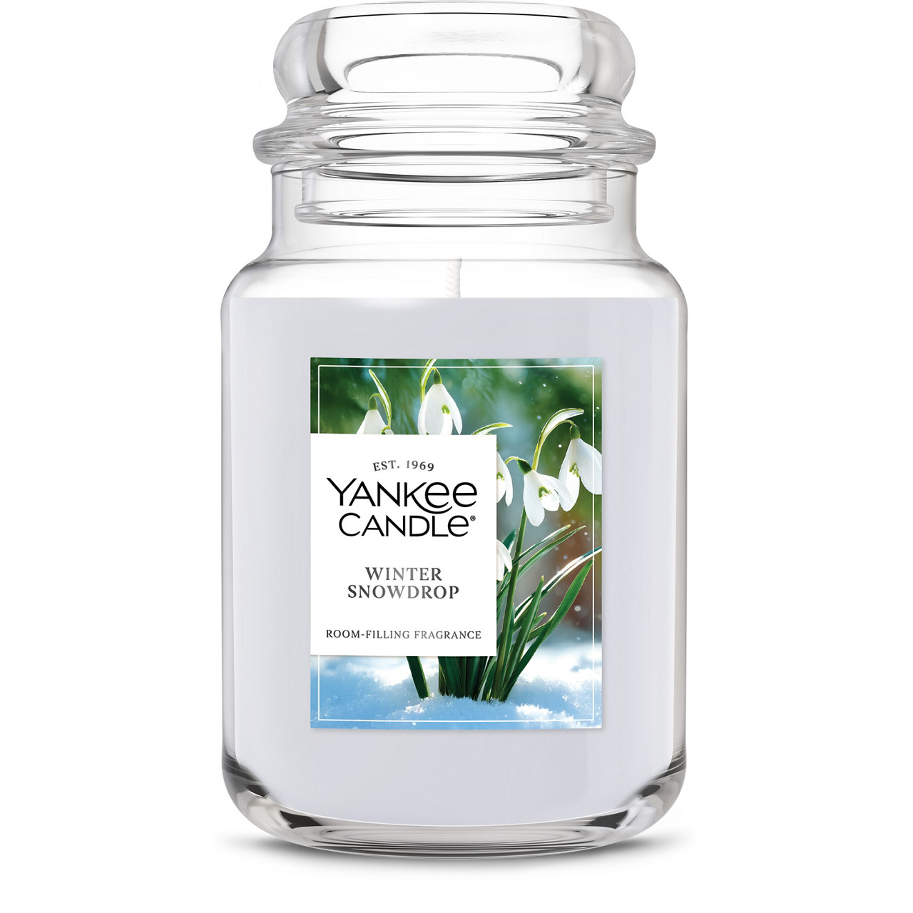 Winter Snowdrop