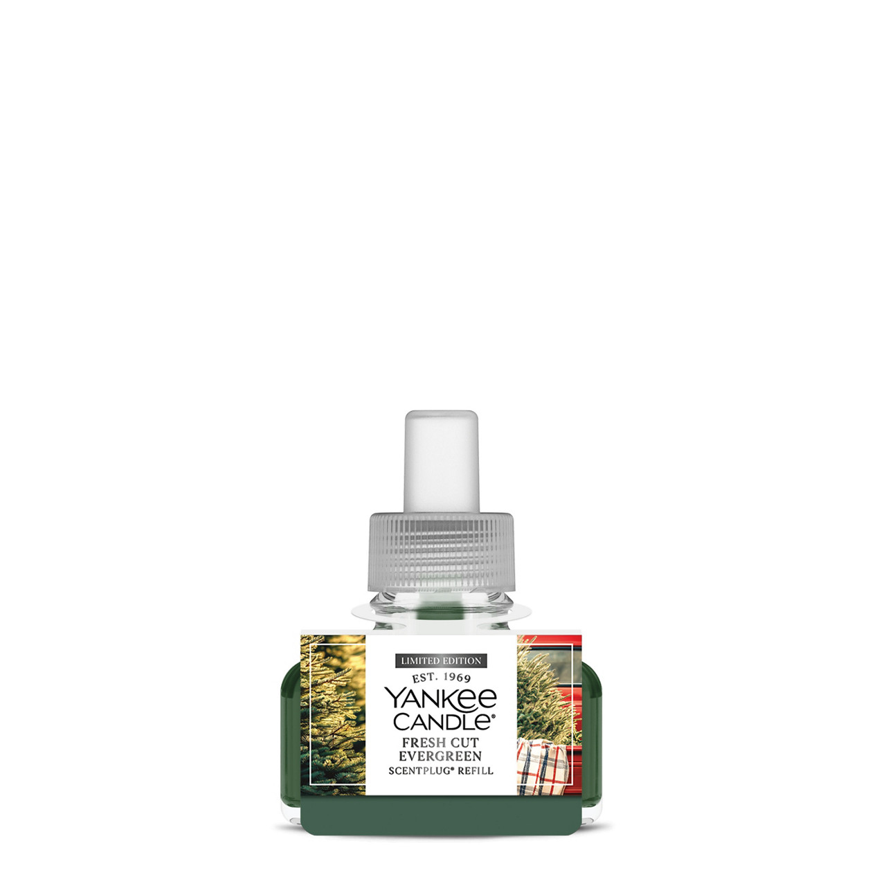Fresh Cut Evergreen