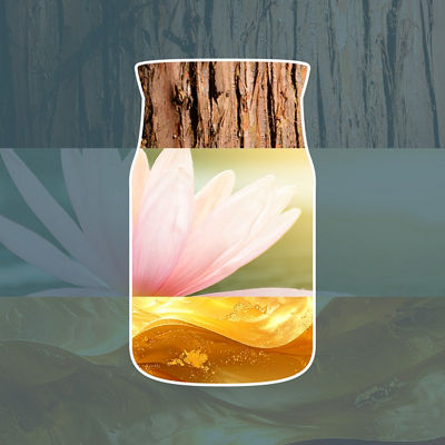Bayside Cedar Kerze