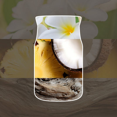 Black Coconut Diffuser Nachf&uuml;llung