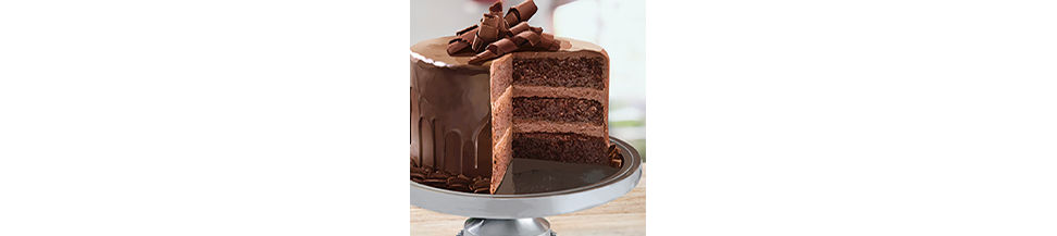 chocolate layer cake with mousse filling