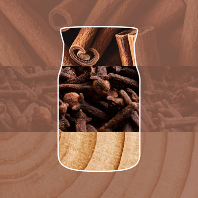 Cinnamon Stick Diffuser