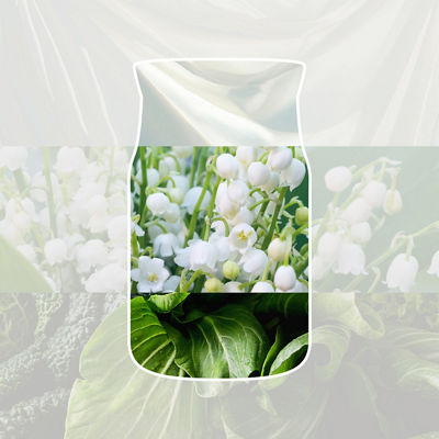 Clean Cotton Kerze