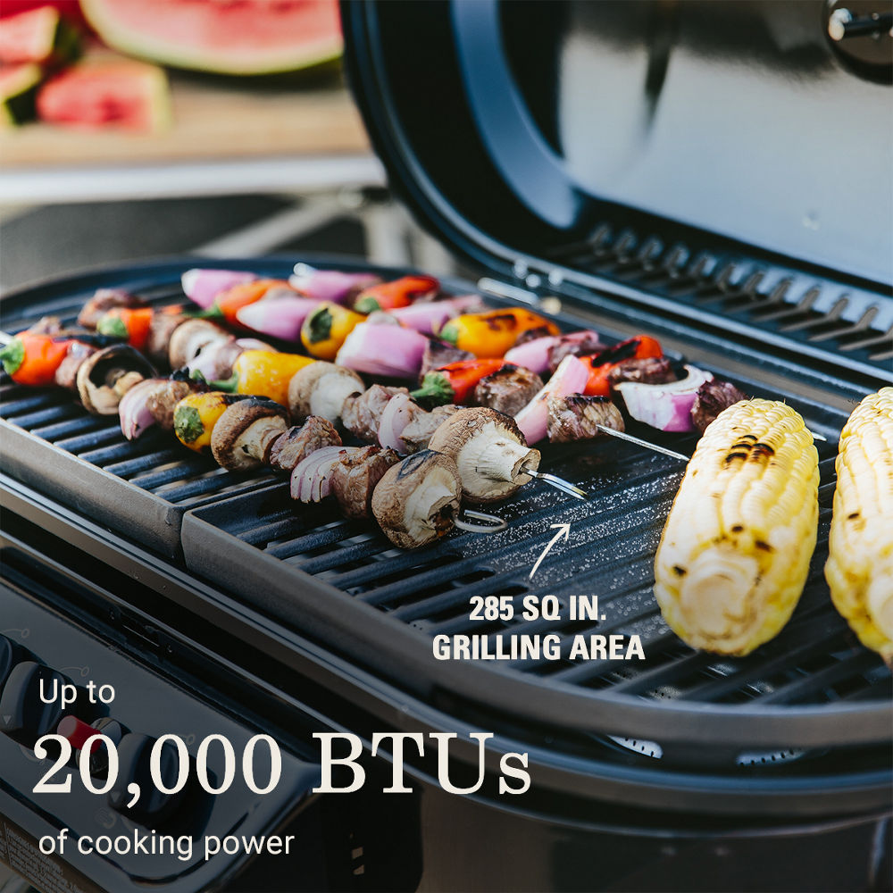 RoadTrip® 285 Portable Stand-Up Propane Grill | Coleman