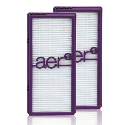 Holmes HAPF300APD aer1 True HEPA  Performance Plus Air Purifier Filter Dual Pack