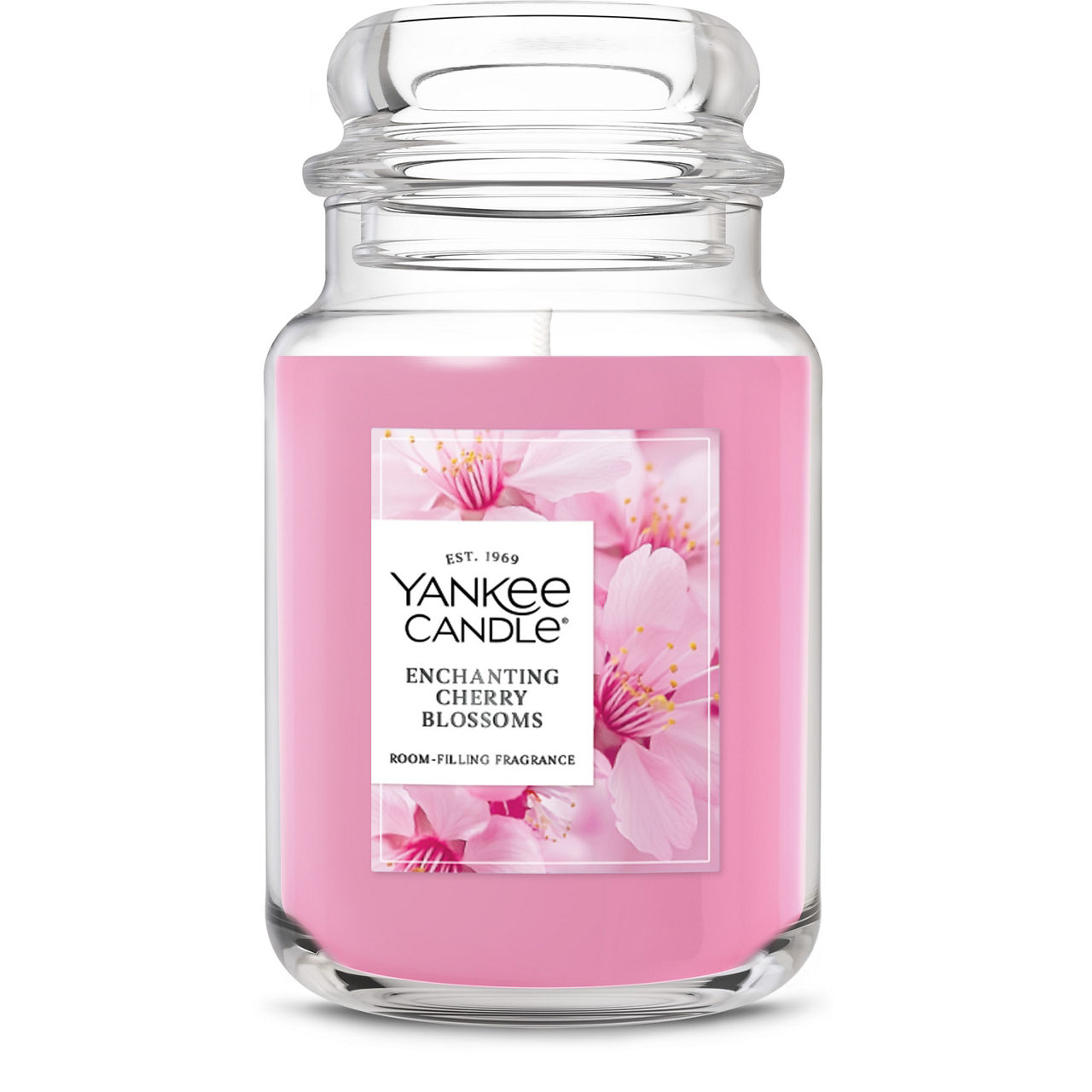 Enchanting Cherry Blossoms