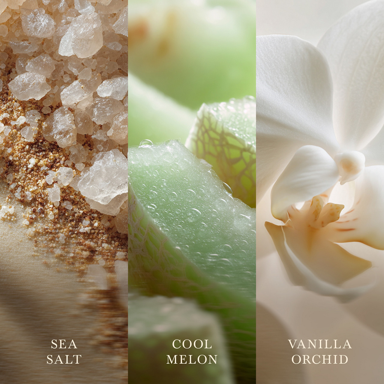 Vanilla & Sea Salt WoodWick® Ellipse Candle - Ellipse Candles