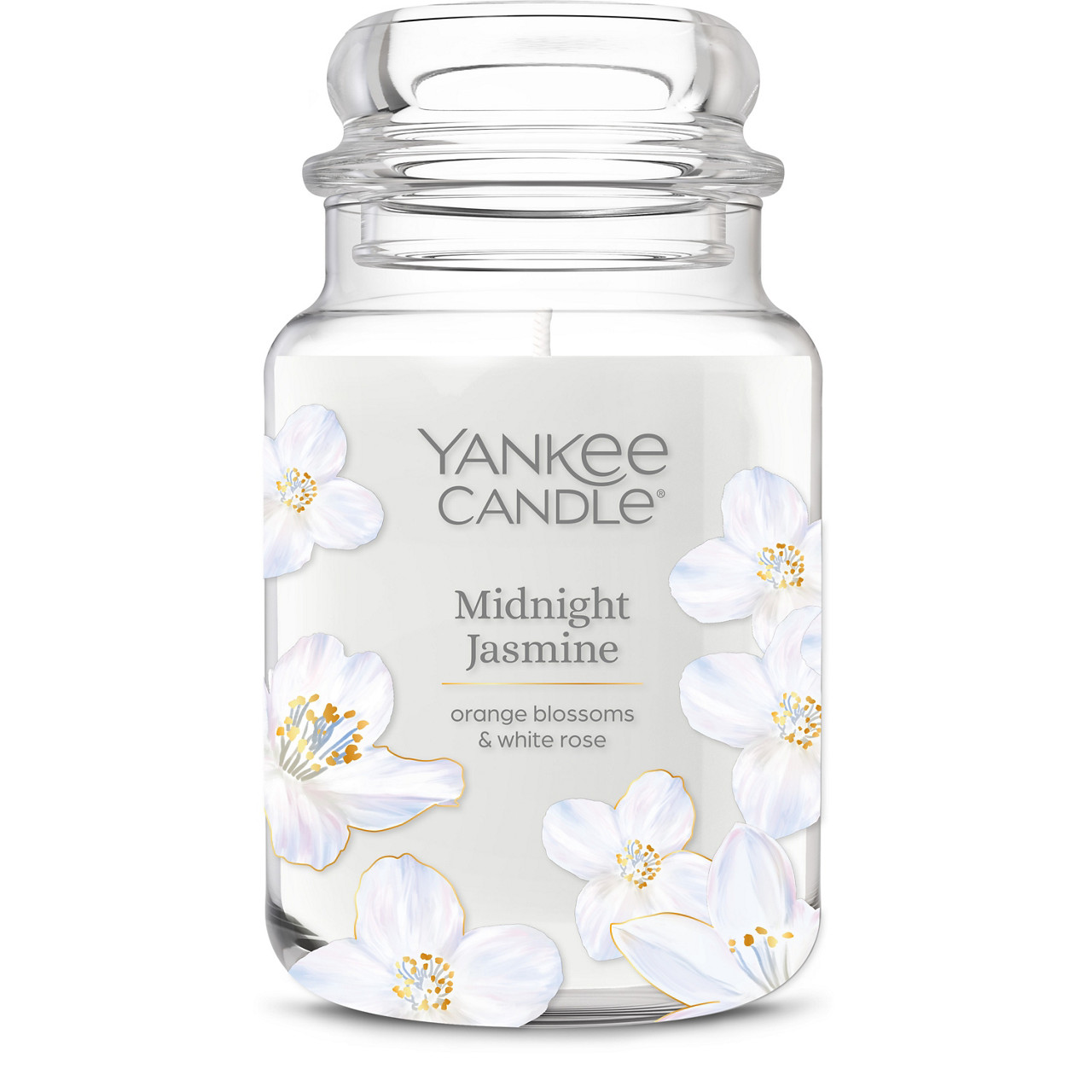 Midnight Jasmine
