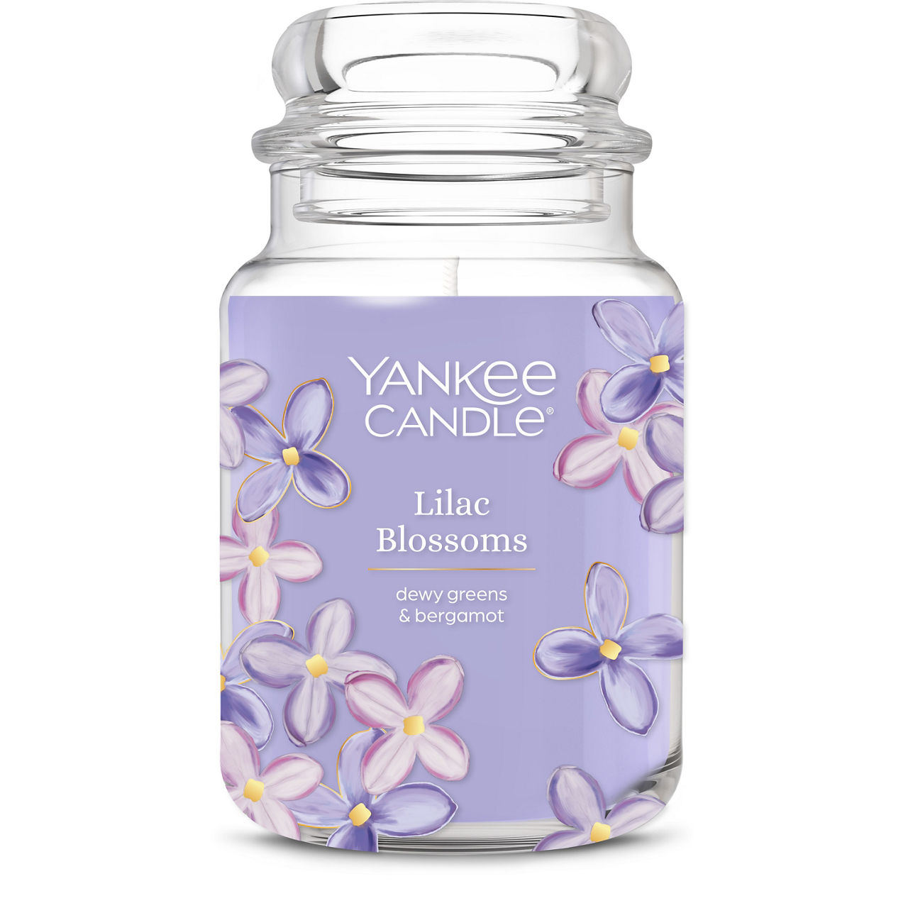 Lilac Blossoms