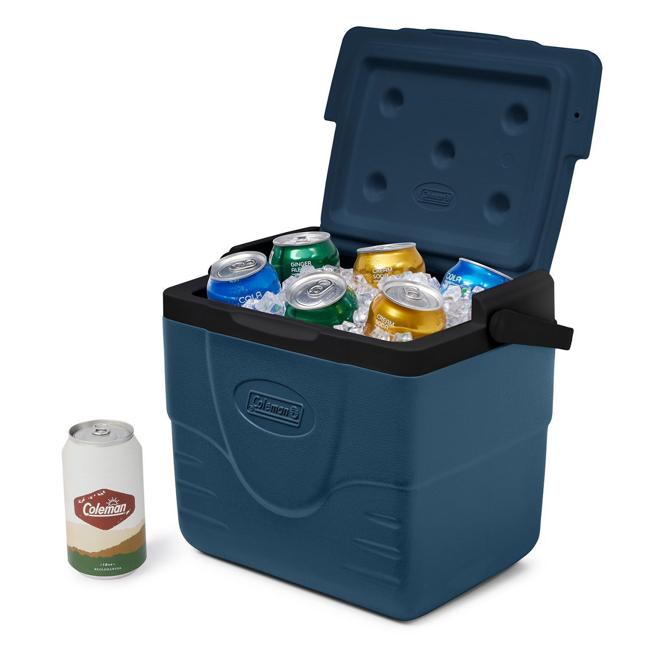 Chiller™ 9-Quart Portable Cooler | Coleman