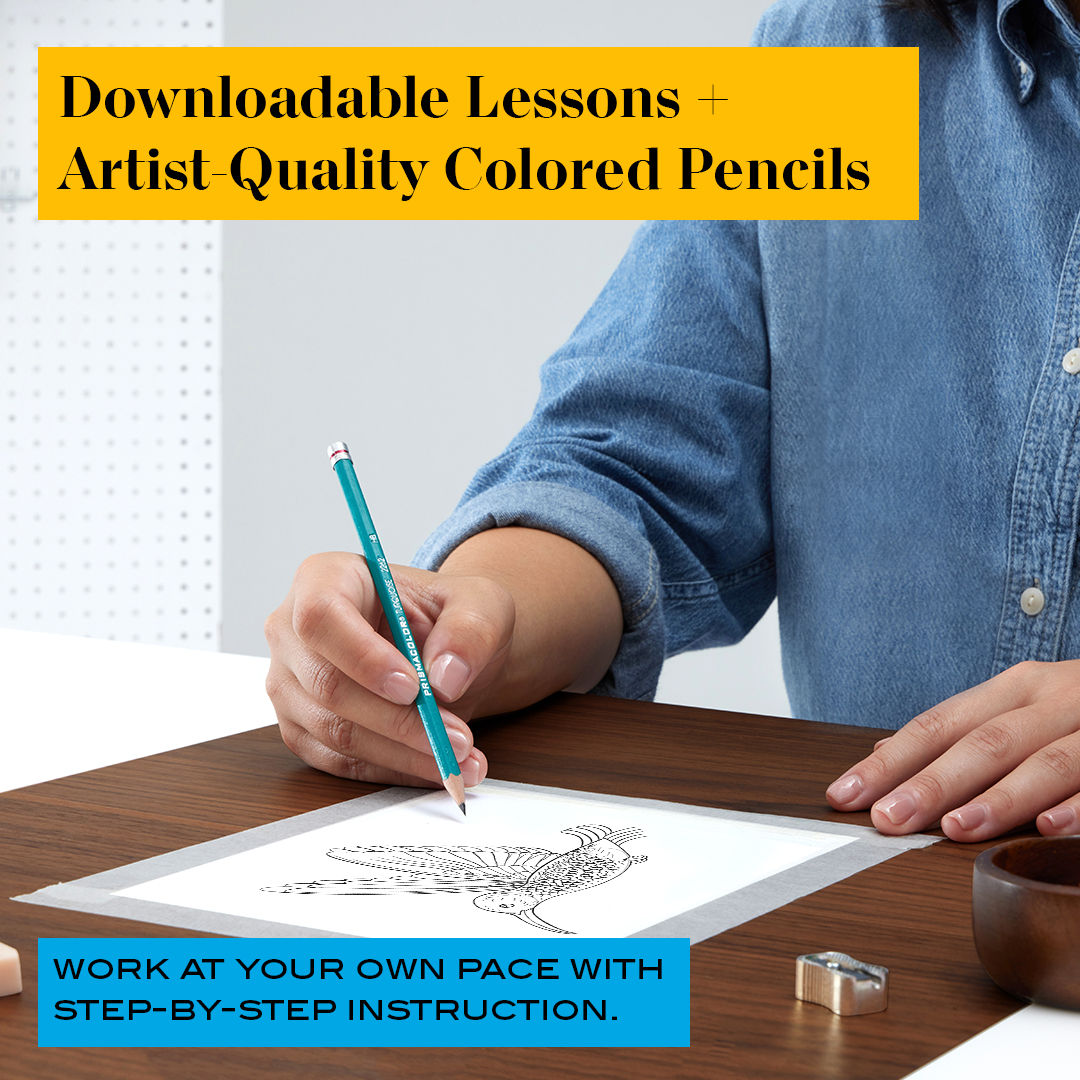 DETERMINATIONS This is DETERMINATIONS 美品 Premier® Dual-Ended Art Marker Sets, Fine and Chisel Tip With