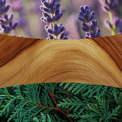 Lavender & Cedar Kerze