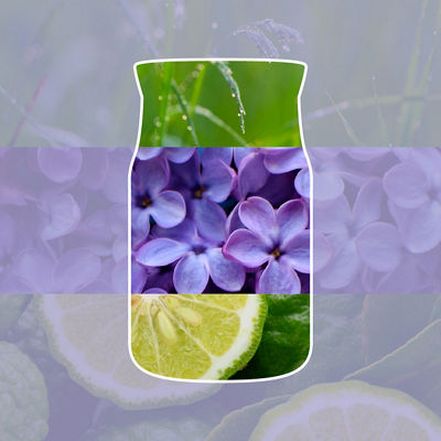 Lilac Blossoms Kerze