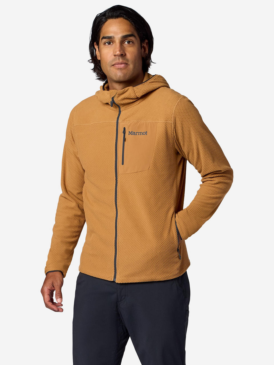 Dromedary
