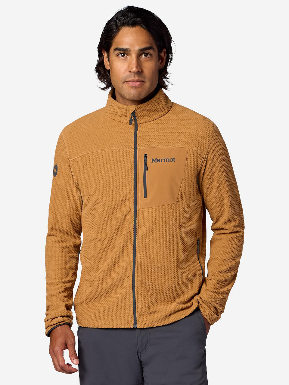 Dromedary