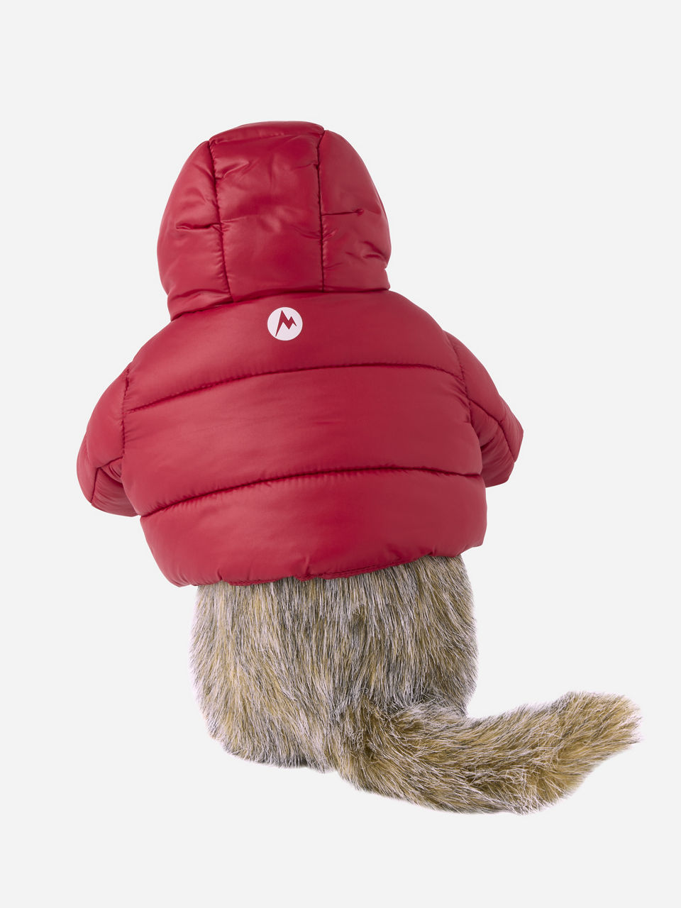 Marty the Marmot