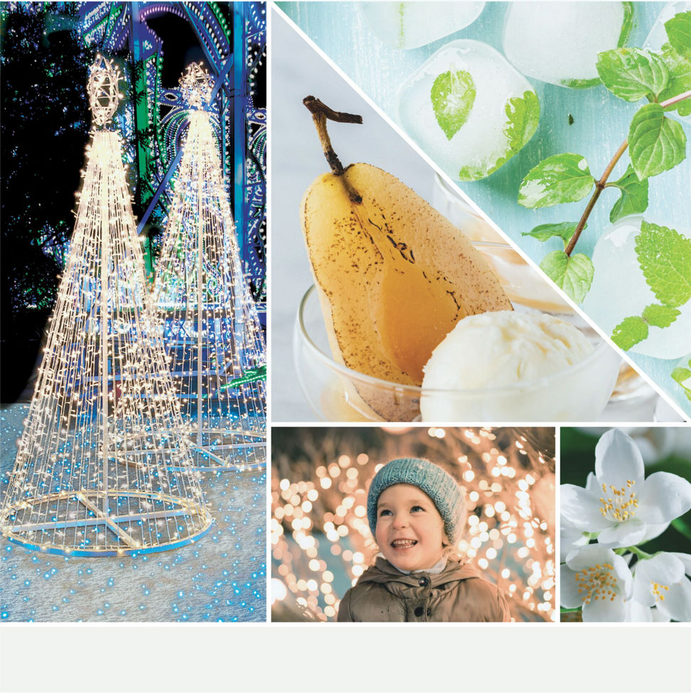 a fragrance in 2D image with photos of light-up trees, a smiling child, white flowers, and food items