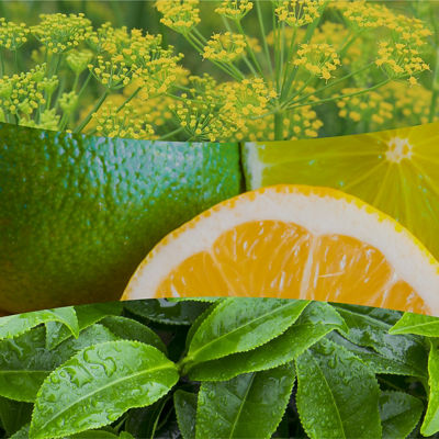Matcha Zest Kerze