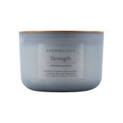 Chesapeake Bay Candle&reg; Aromascape Collection Strength Geranium Oakmoss 3-Wick Coffee Table Jar Candle