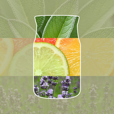 Sage & Citrus Diffuser Nachf&uuml;llung