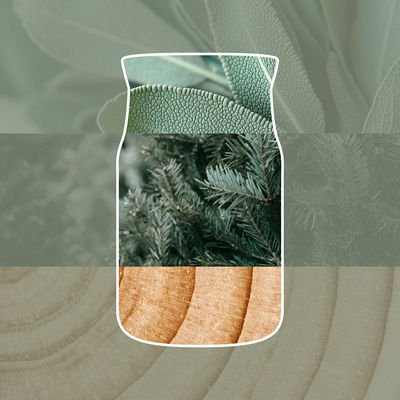 Silver Sage & Pine Candle
