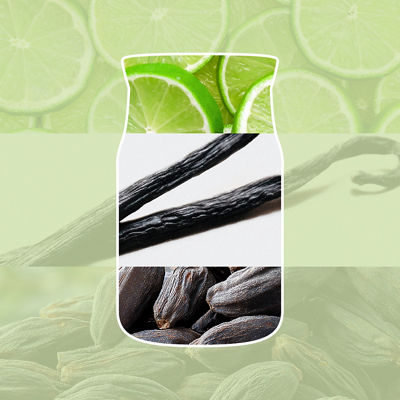 Vanilla Lime Candle