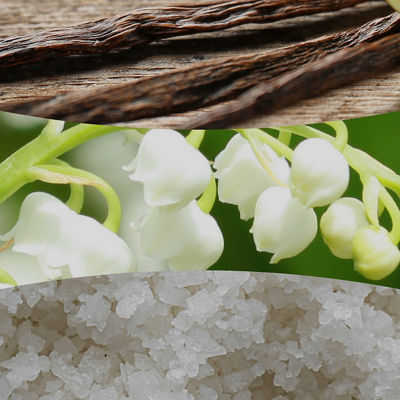 Vanilla & Sea Salt Kerze