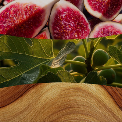 Verdant Fig Kerze