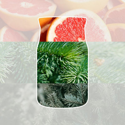 White Spruce & Grapefruit Candle