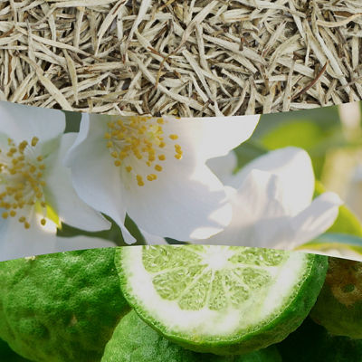 White Tea & Jasmine Kerze