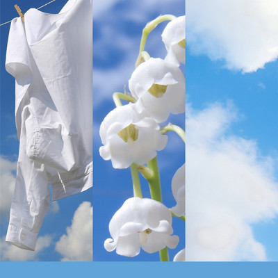 Clean Cotton&reg; Diffuser Refill