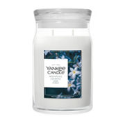 Midnight Jasmine Candle