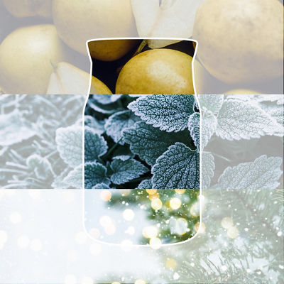 Winter Walk Candle