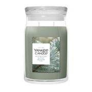 Silver Sage & Pine Kerze