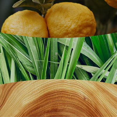 Yuzu & Vetiver Kerze