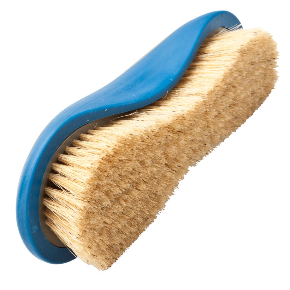 Natural Dandy Grooming Brush  Soft Horse Brush – HorseHaus - Fine  Equestrian Supplies