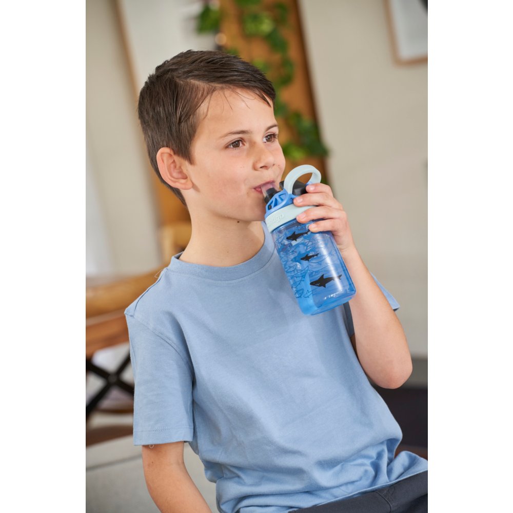 Contigo Easy Clean AUTOSPOUT™ Kids Water Bottle, 420 ml (Dino Body)