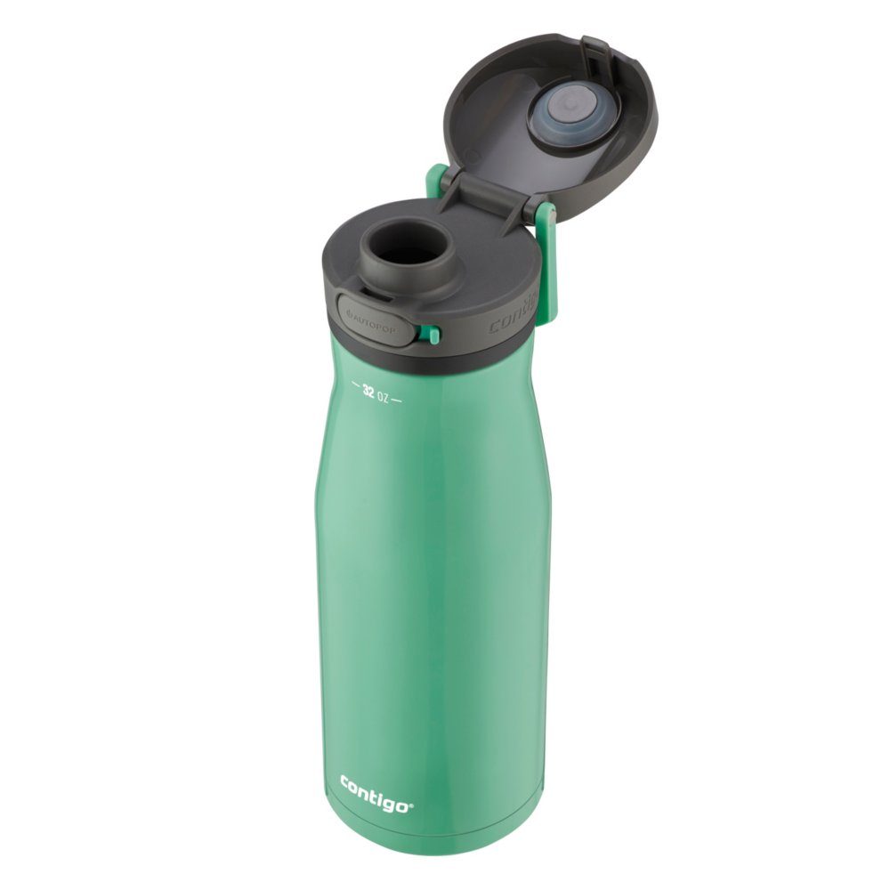  Contigo Ashland Chill Stainless Steel Water Bottle with  Leakproof Lid & Straw, Water Bottle with Handle Keeps Drinks Cold for 24hrs  & Hot for 6hrs, Great for Travel, School, Work, 