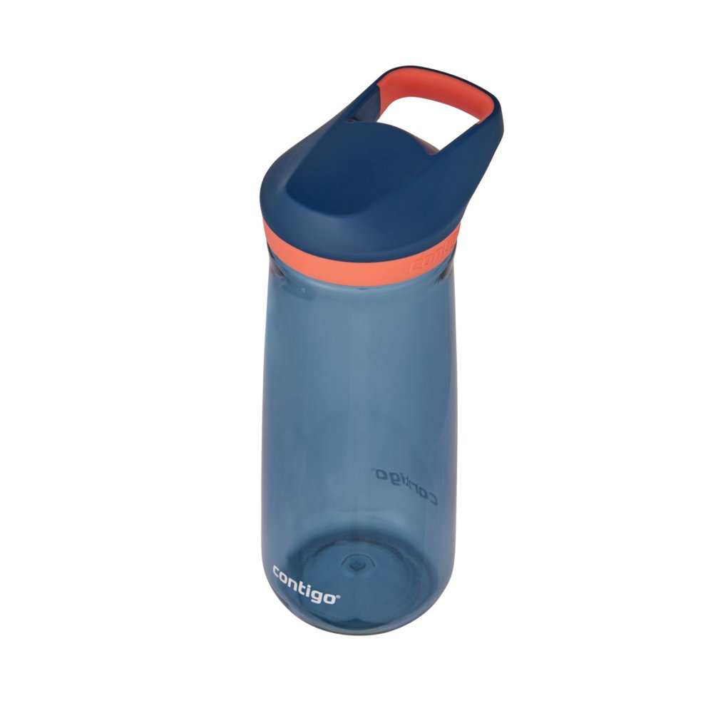 Contigo Kids 20 Oz Micah Water Bottle With Simple Lid - Blue Poppy