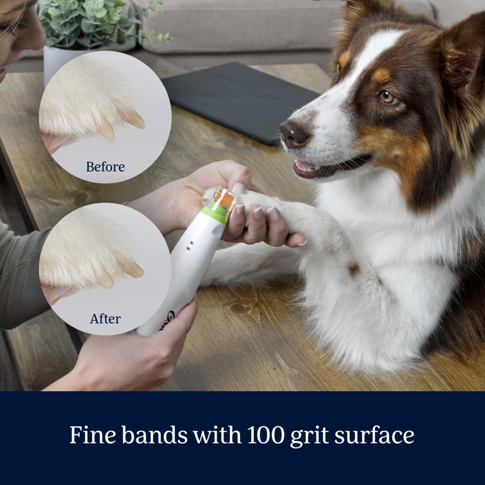 Oster gentle paws walmart sale