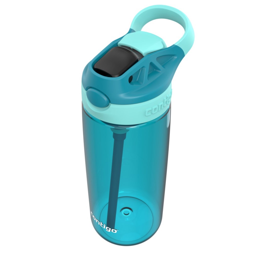 Contigo Aubrey Kids Cleanable Water Bottle with Silicone Straw and  Spill-Proof L
