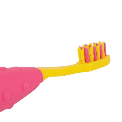nuk starter toothbrush