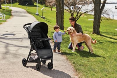 graco fastaction se travel system