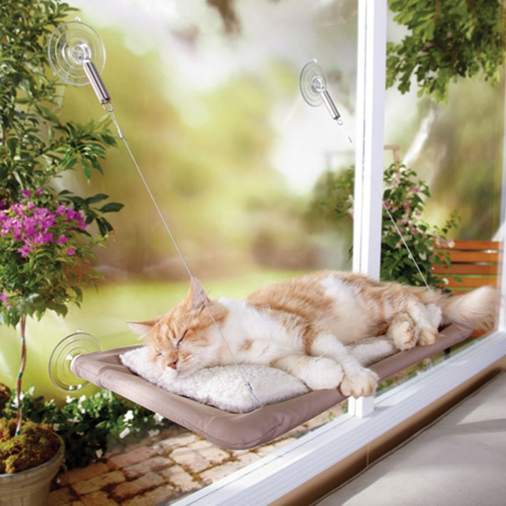 Oster sunny seat 2025 window cat bed