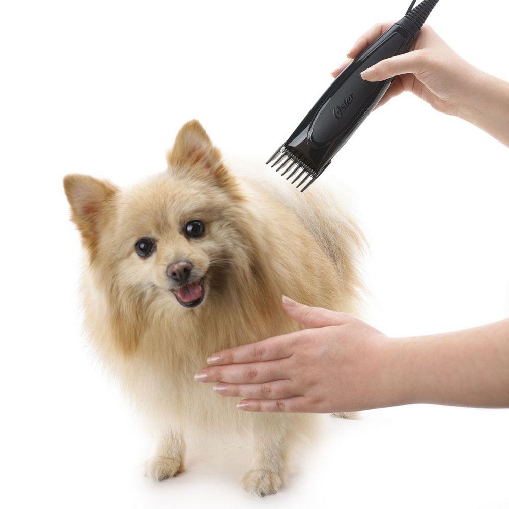 Oster dog grooming clearance combs