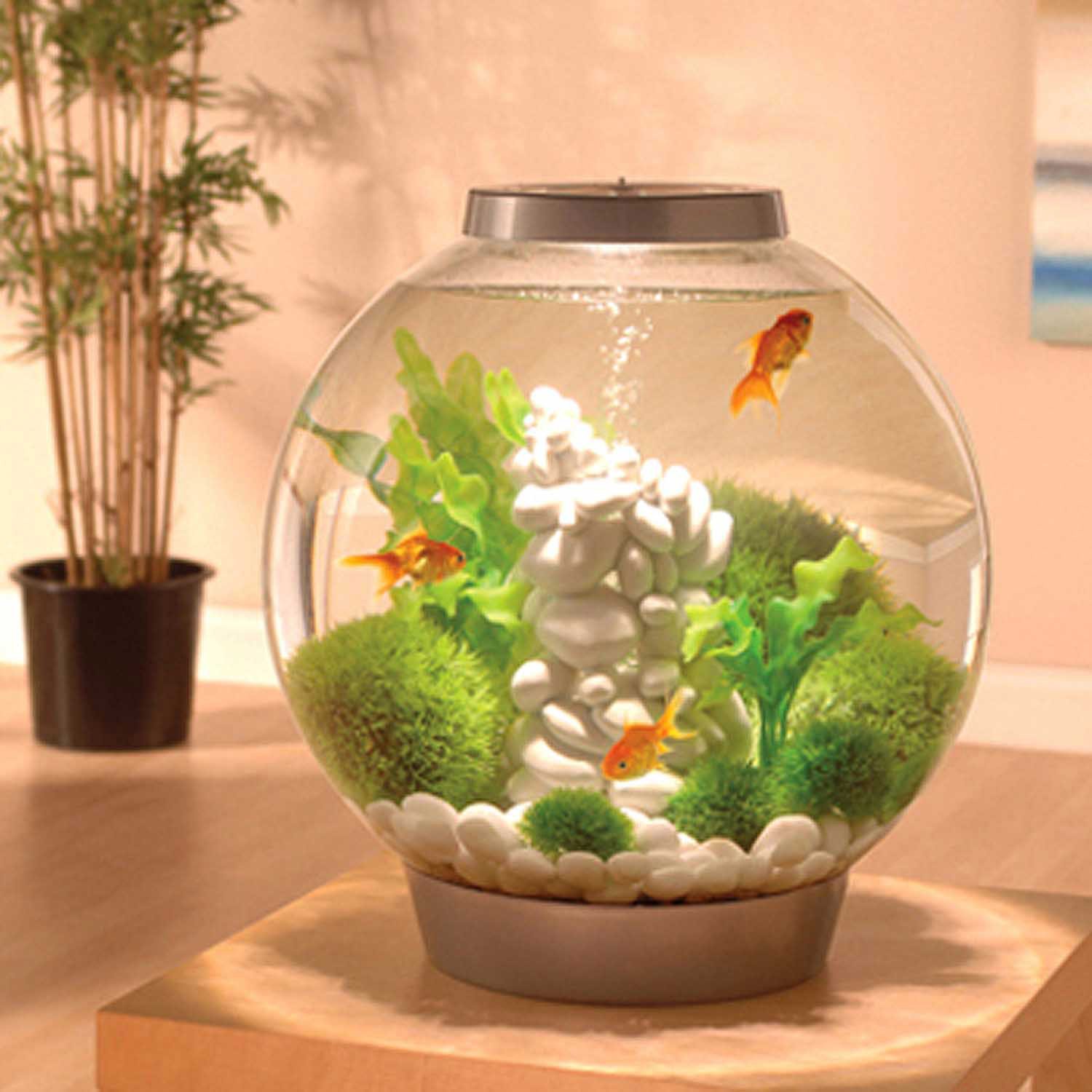 BiOrb Silver Mega Aquarium Kit With Light Petco