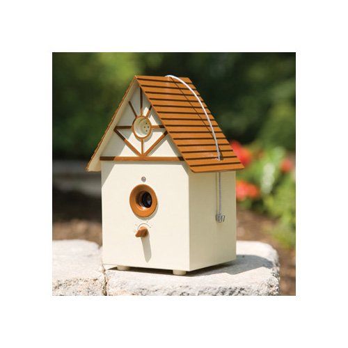 PetSafe Outdoor Bark Control | Petco