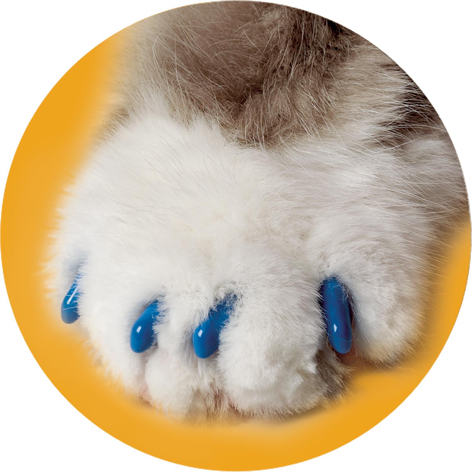 soft claws for cats