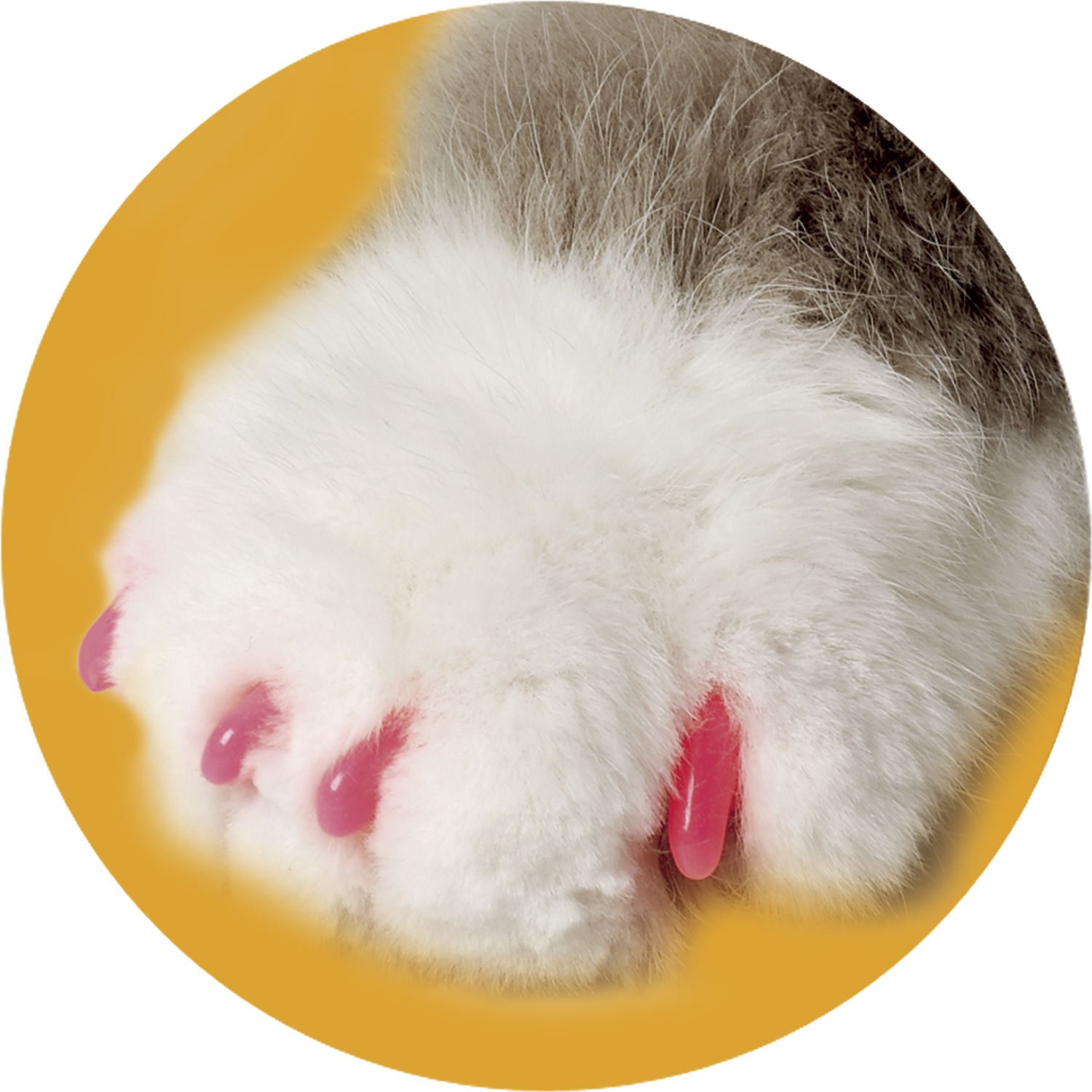 Soft Claws Pink Cat Nail Caps Petco